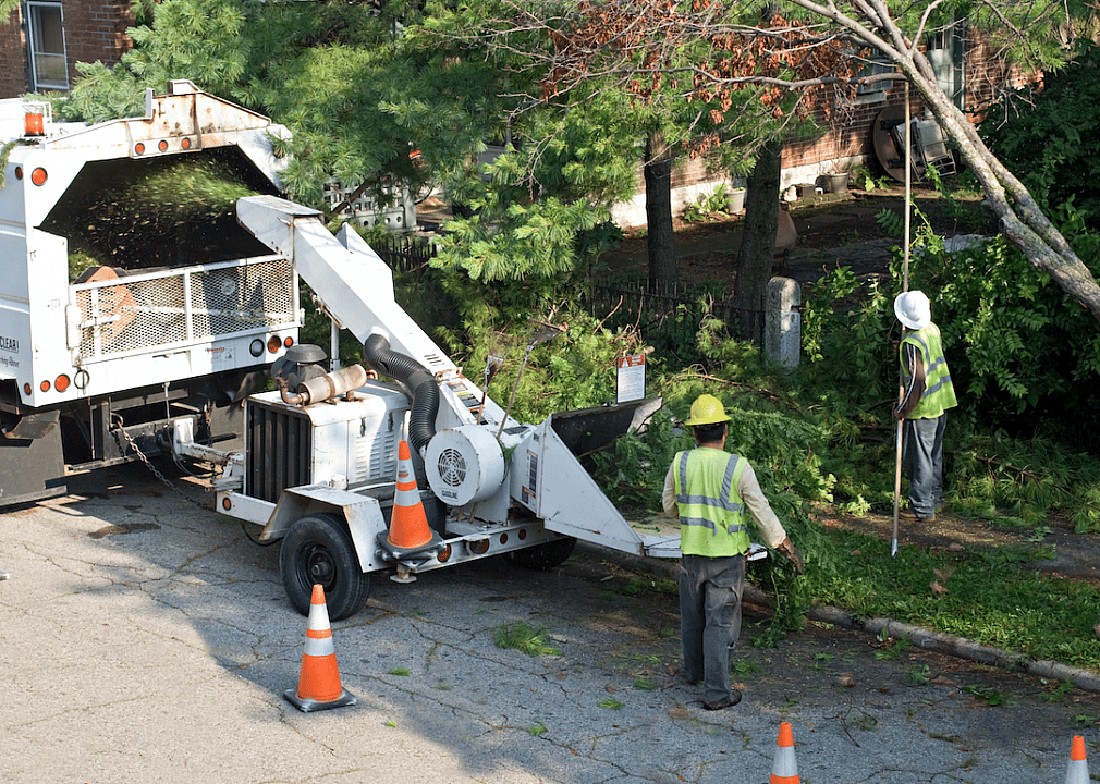 #47. Tree trimmers and pruners