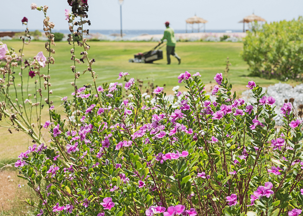 #17. Landscaping and groundskeeping workers