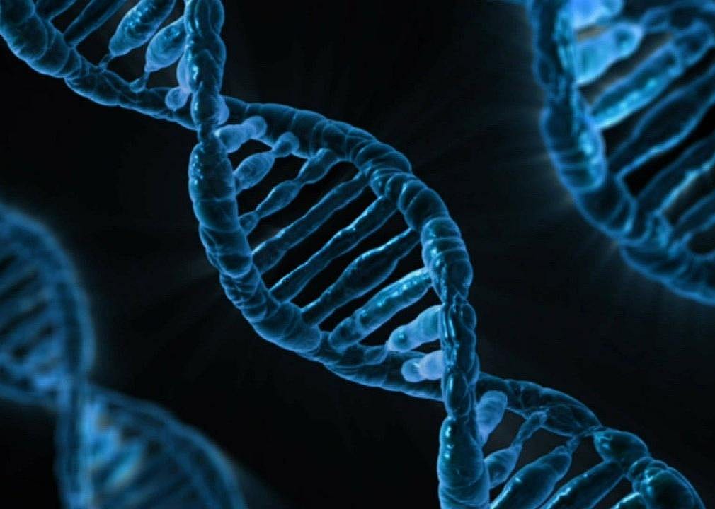 1985: DNA testing