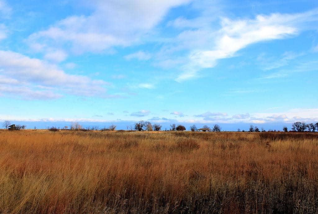 Nickname: The Prairie State