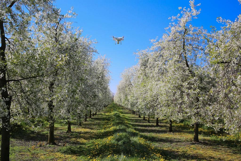 Agriculture drones