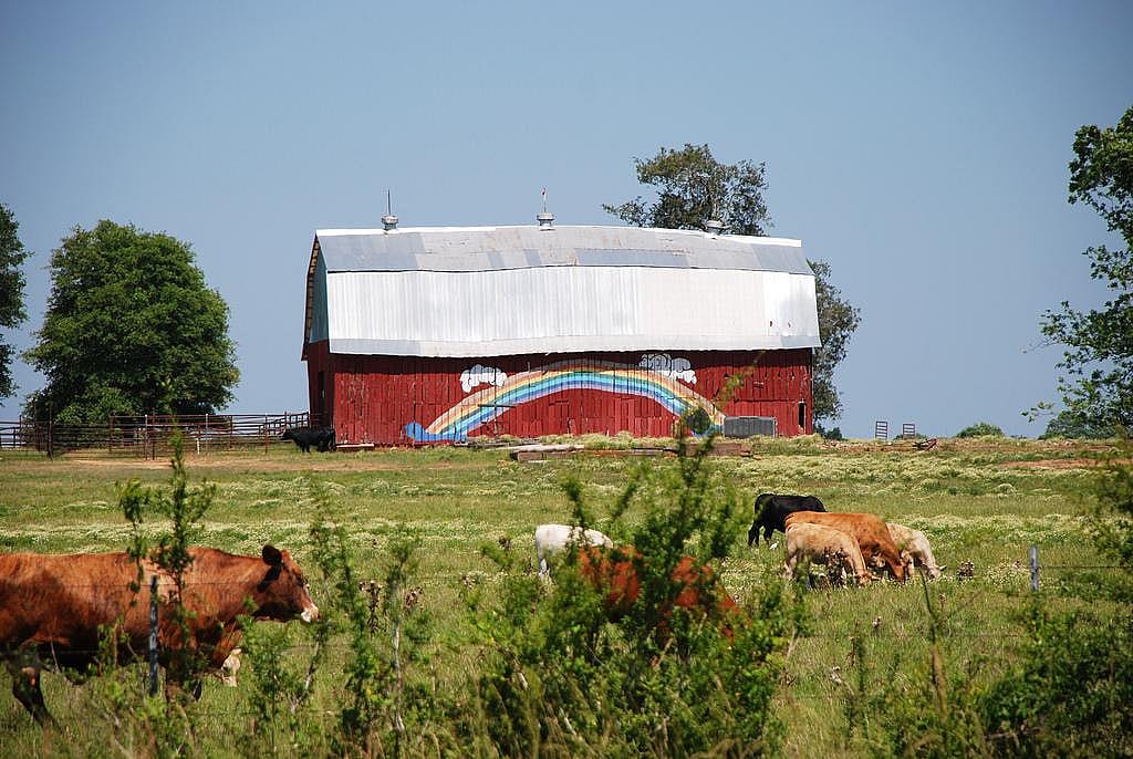 #11. Mississippi