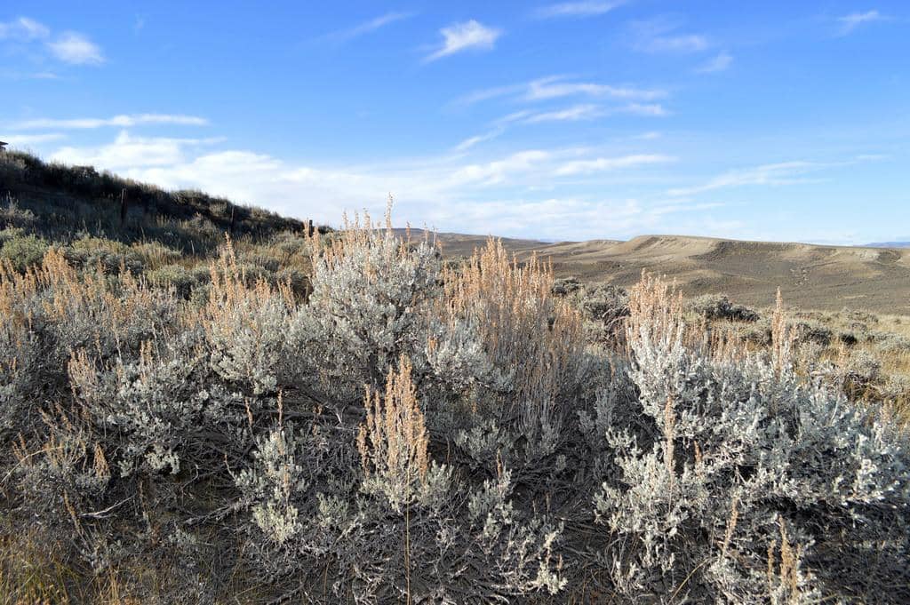 State: Wyoming