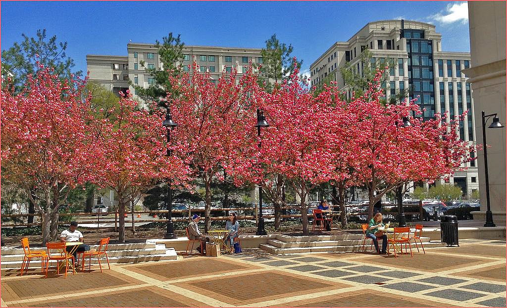 Virginia: Arlington