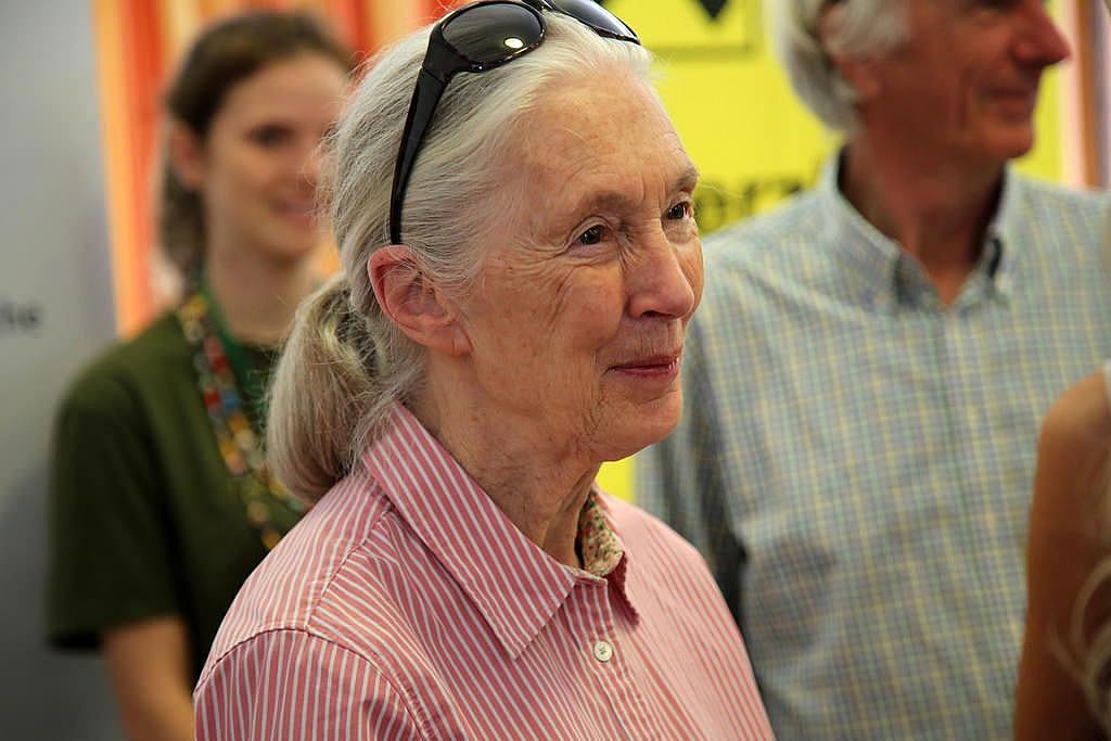 Jane Goodall
