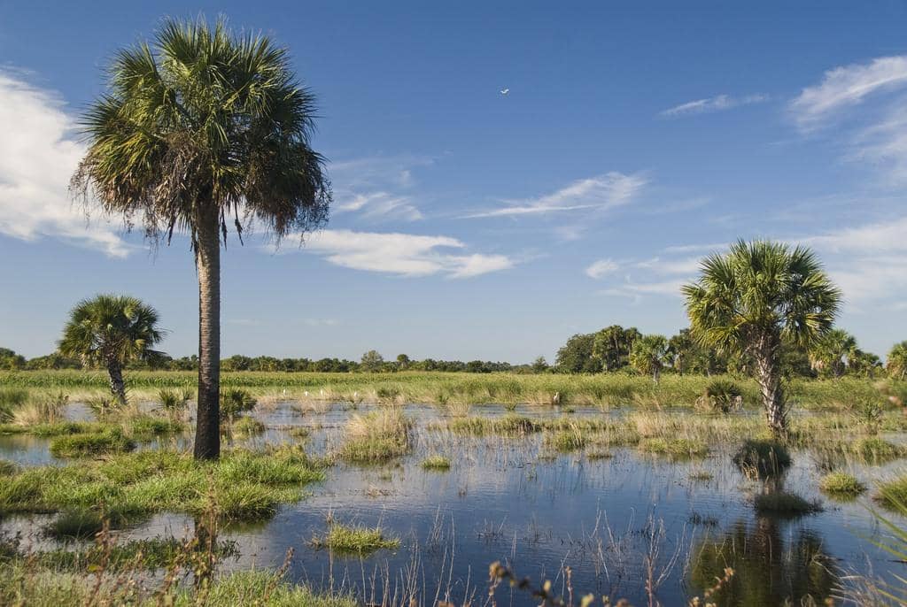 Nickname: The Sunshine State