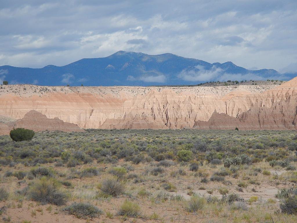 Clue: Nevada state flower