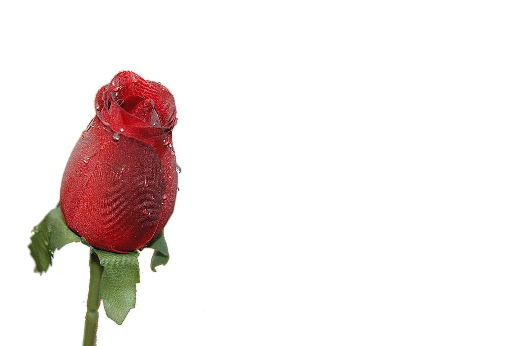 # 27. Bachelor Winter Games