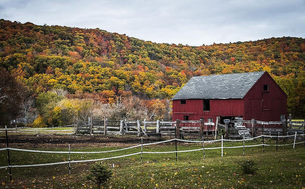 #44. Connecticut