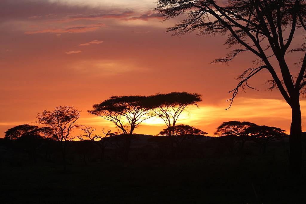 #41. Serengeti National Park, Tanzania
