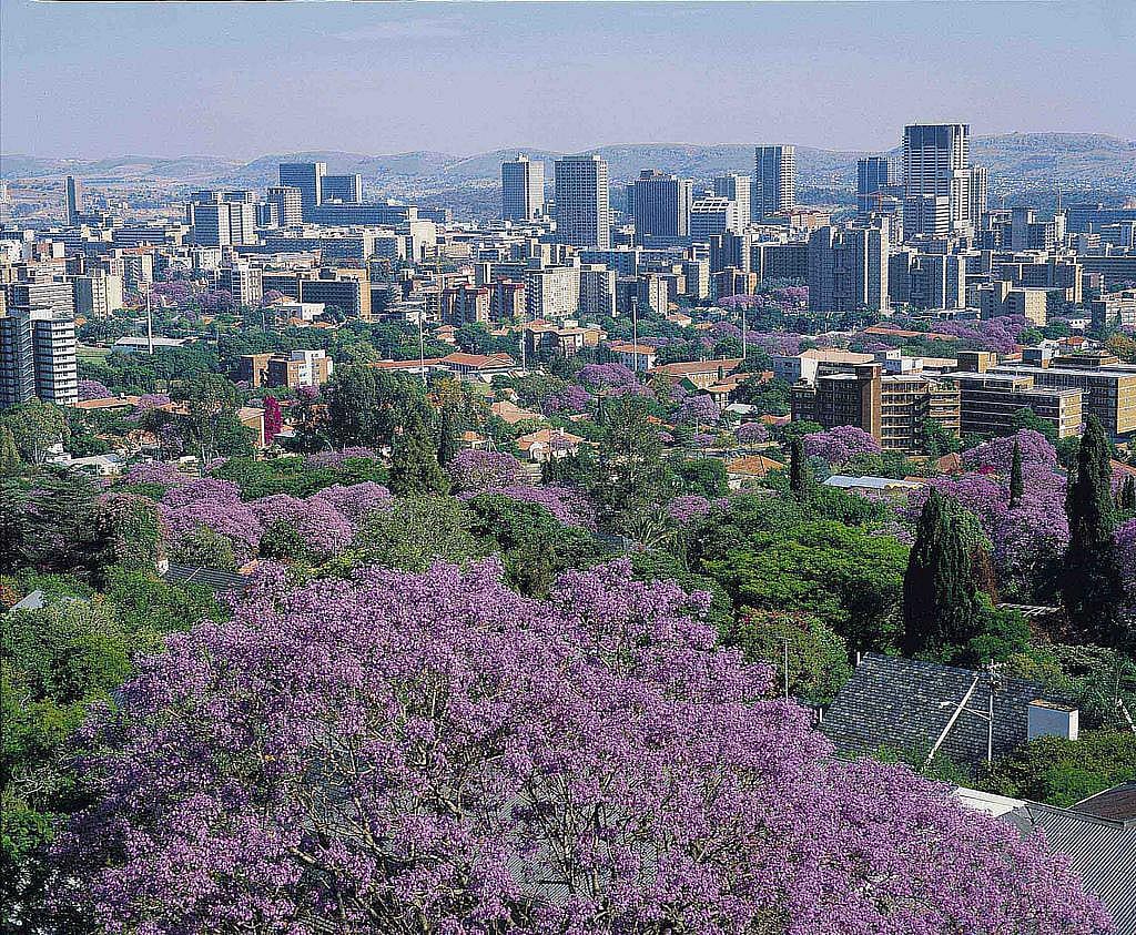 #38. South Africa