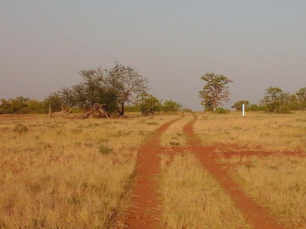 Botswana-Zimbabwe border fence