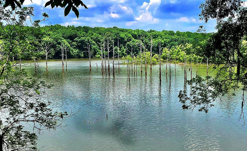 #31. Alabama