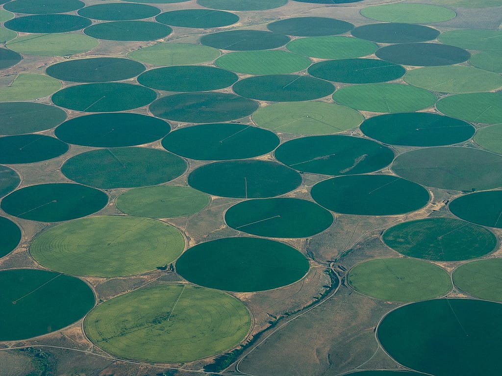 Crop Circles