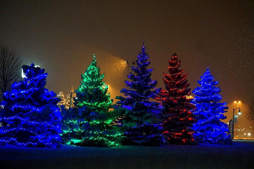 Michigan: Christmas tree PR