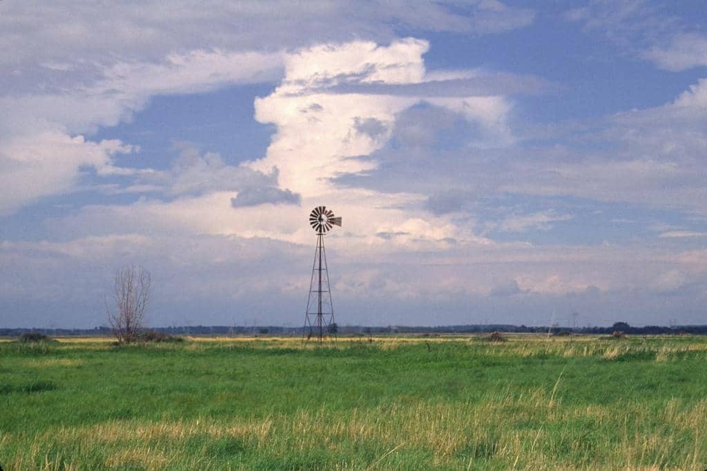 State: Illinois