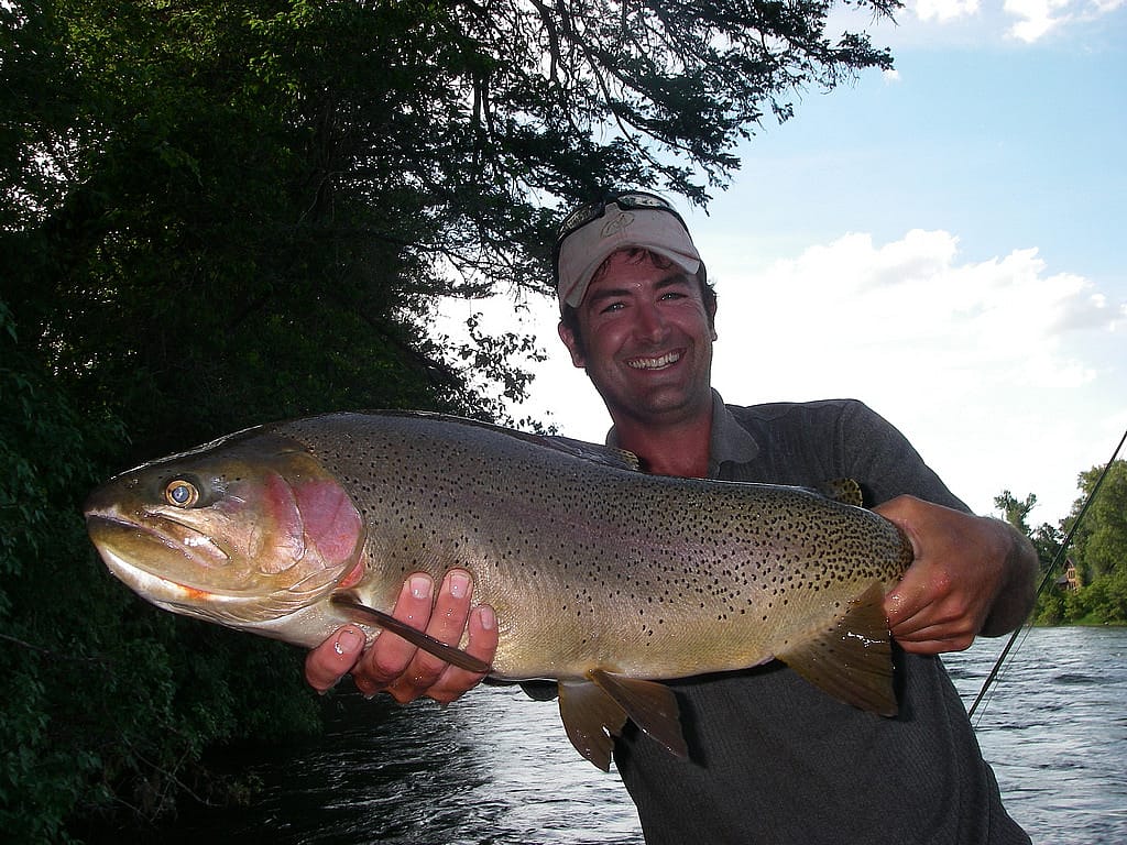 Idaho