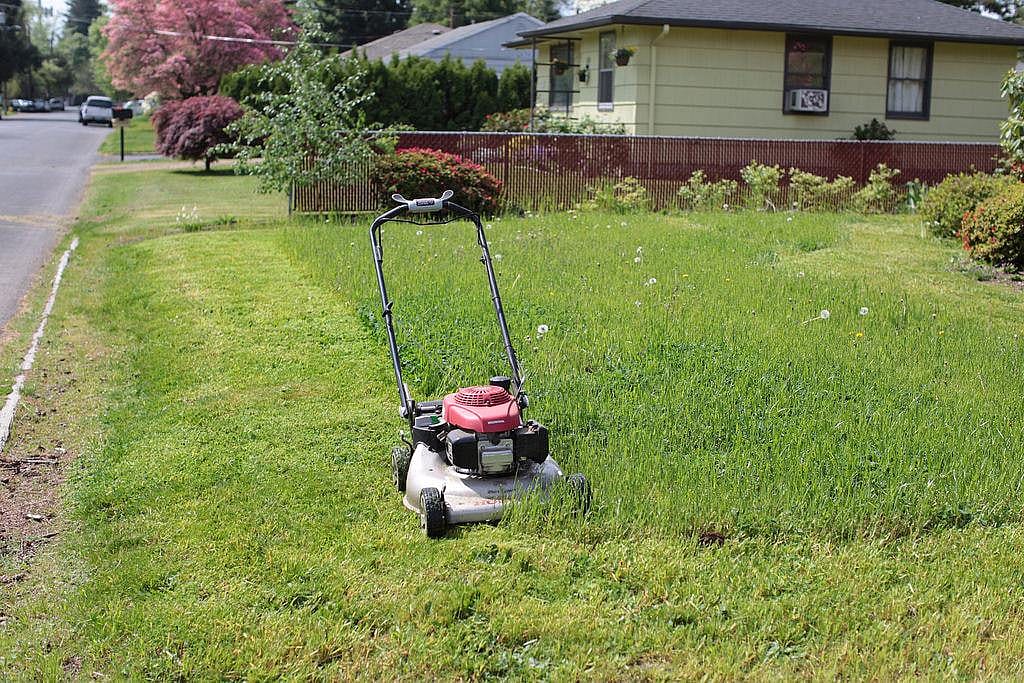 #18. Lawn and garden care