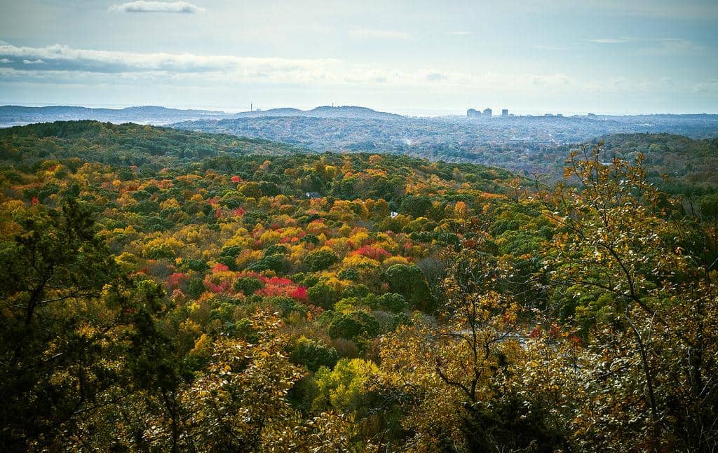 State: Connecticut