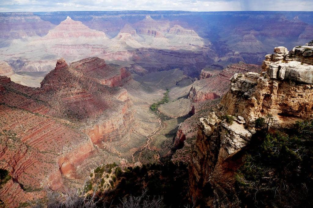 State: Arizona