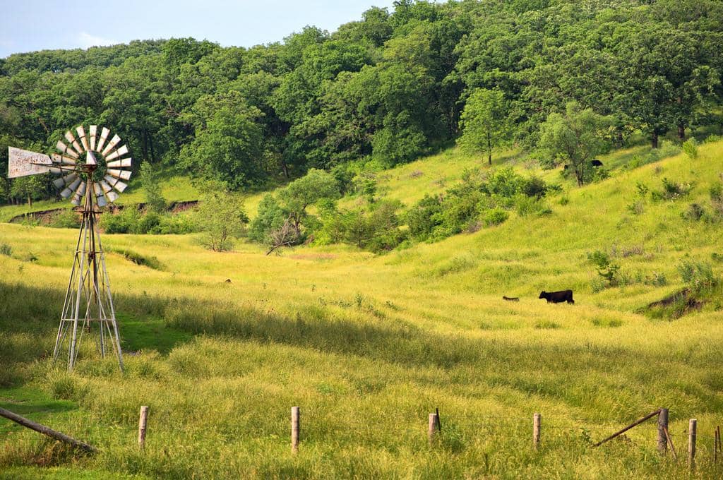 State: Iowa