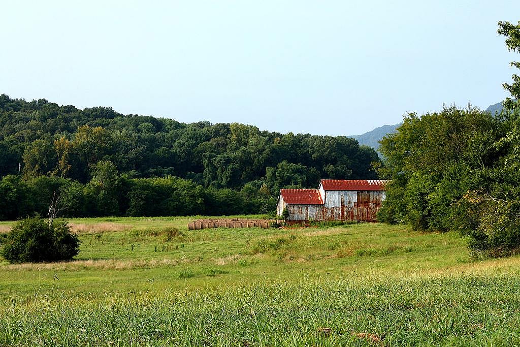 #22. Alabama
