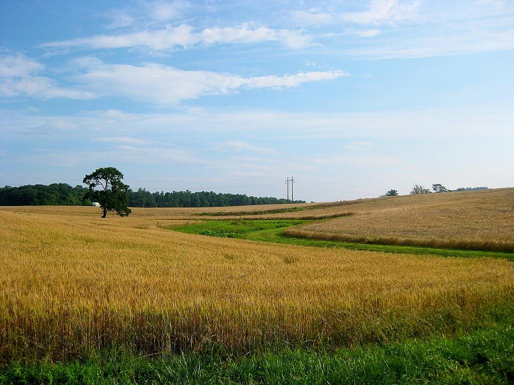 #19. Virginia