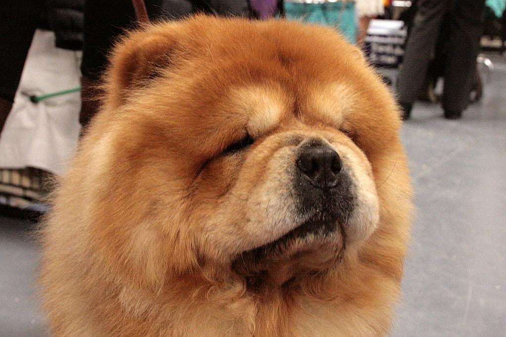 #27. Ginger
