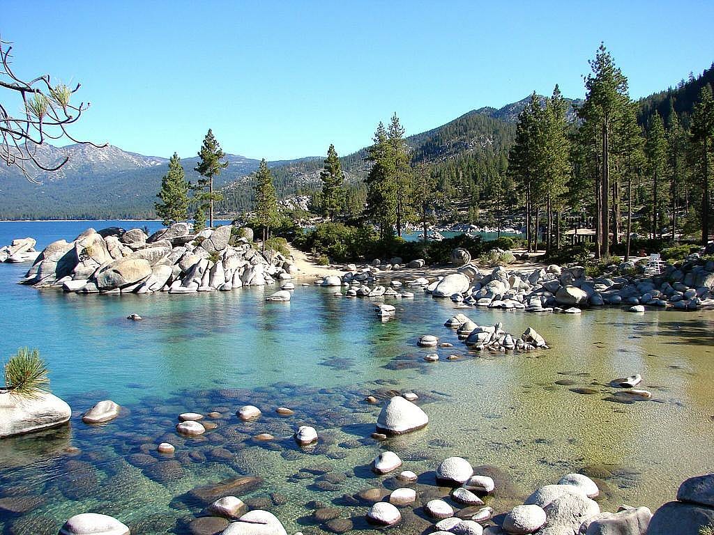 Clue: Nevada state fish
