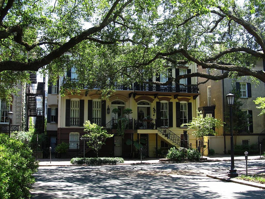 #16 (tie). Georgia