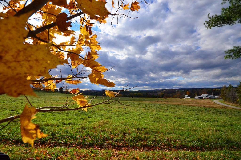 State: Vermont