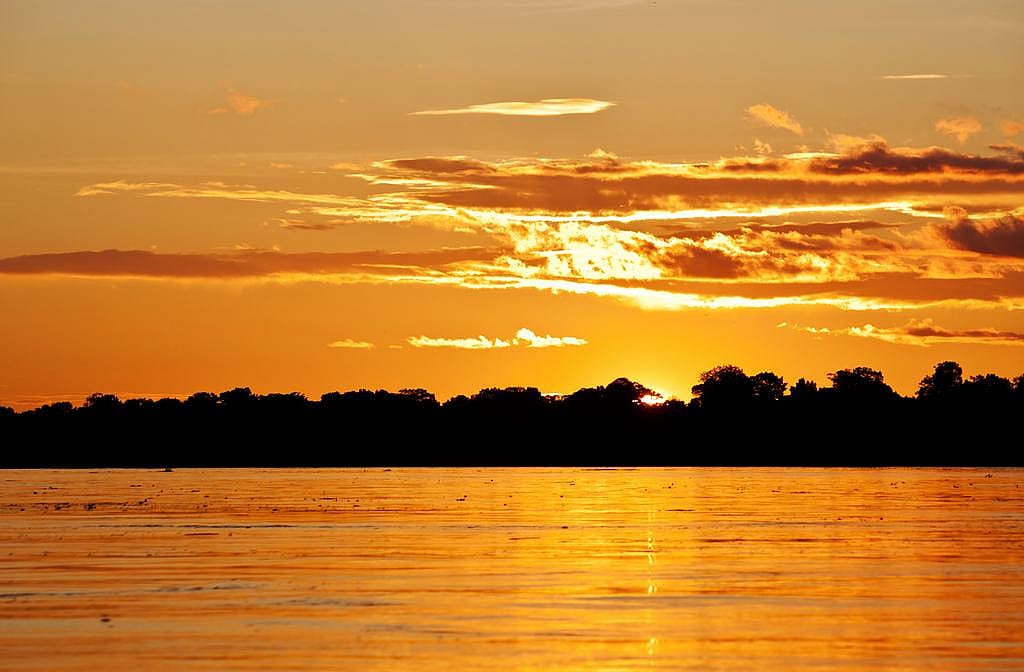 #37. Peruvian Amazon, Peru