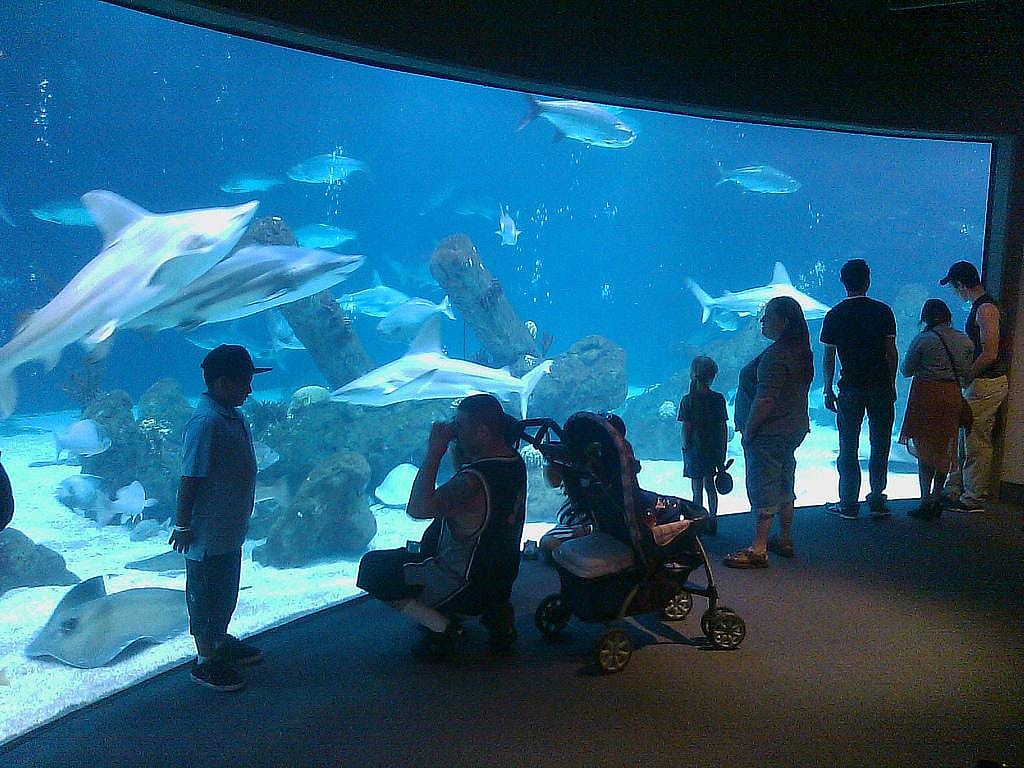New Mexico: Albuquerque Bioparks