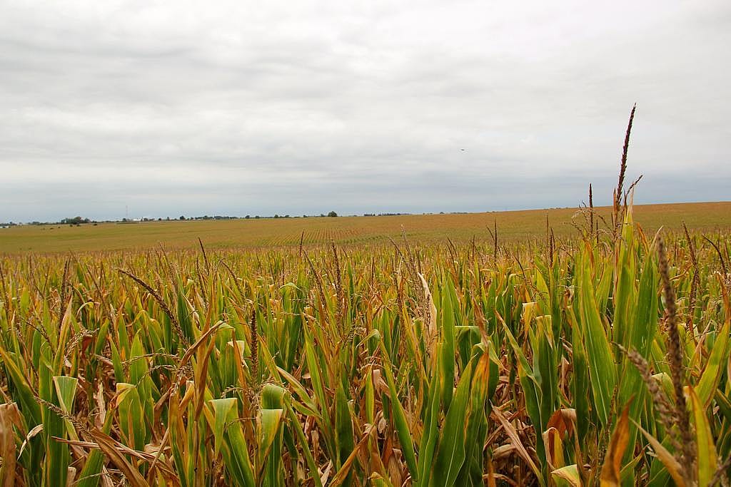 Illinois