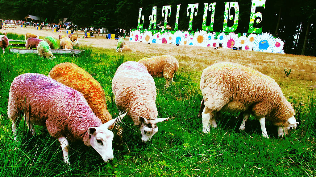 #23. Latitude Festival
