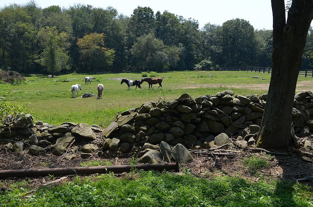 #43. Massachusetts