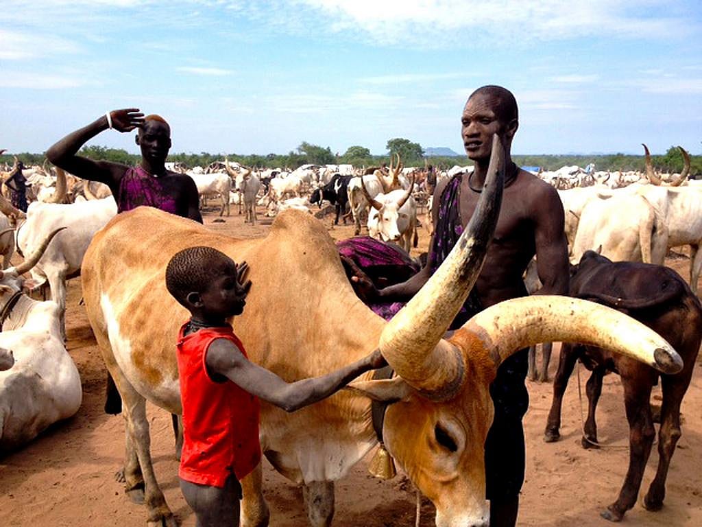 #9. South Sudan