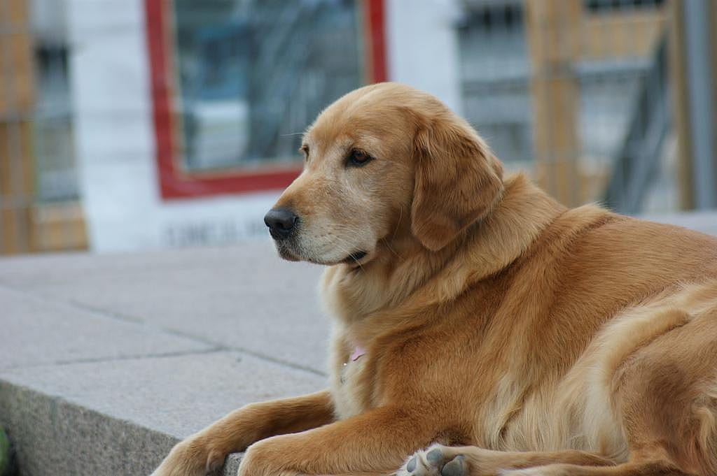 #21. Ruby