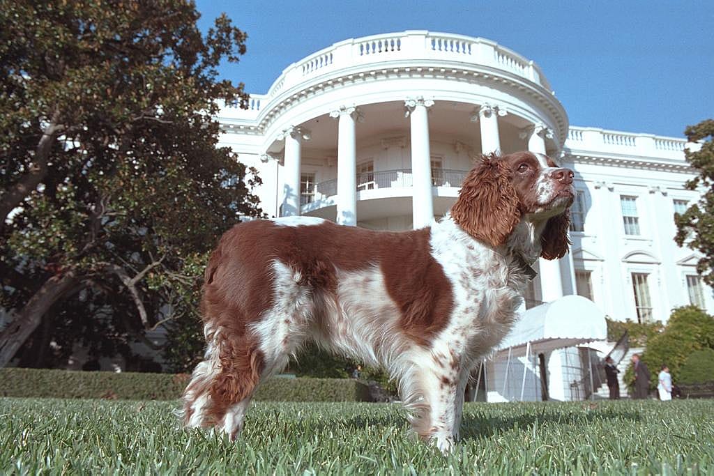 George W. Bush