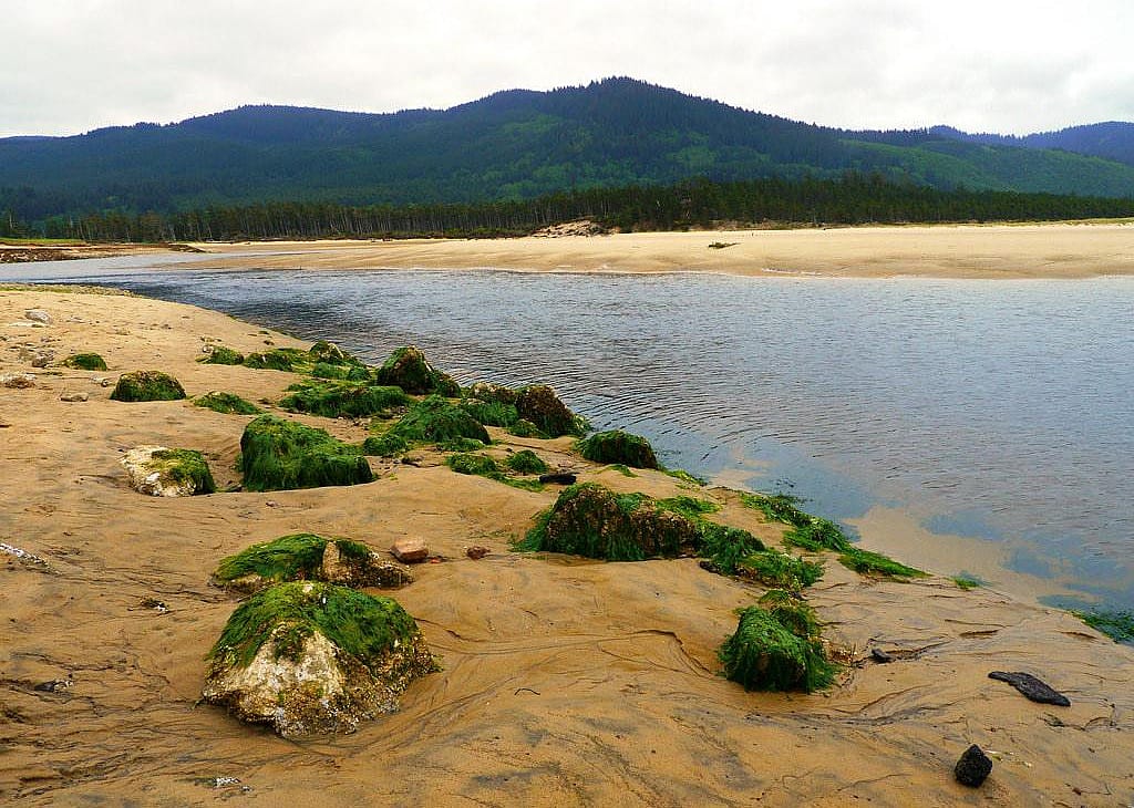 #39. Tillamook County, Oregon