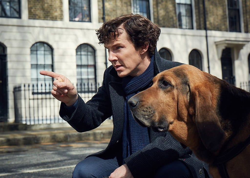 Benedict Cumberbatch and a hound dog looking at something together.