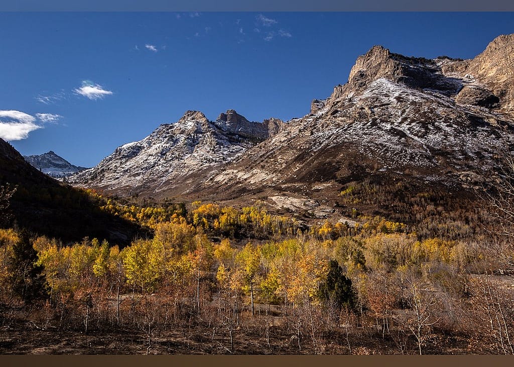 #4. Lamoille Canyon