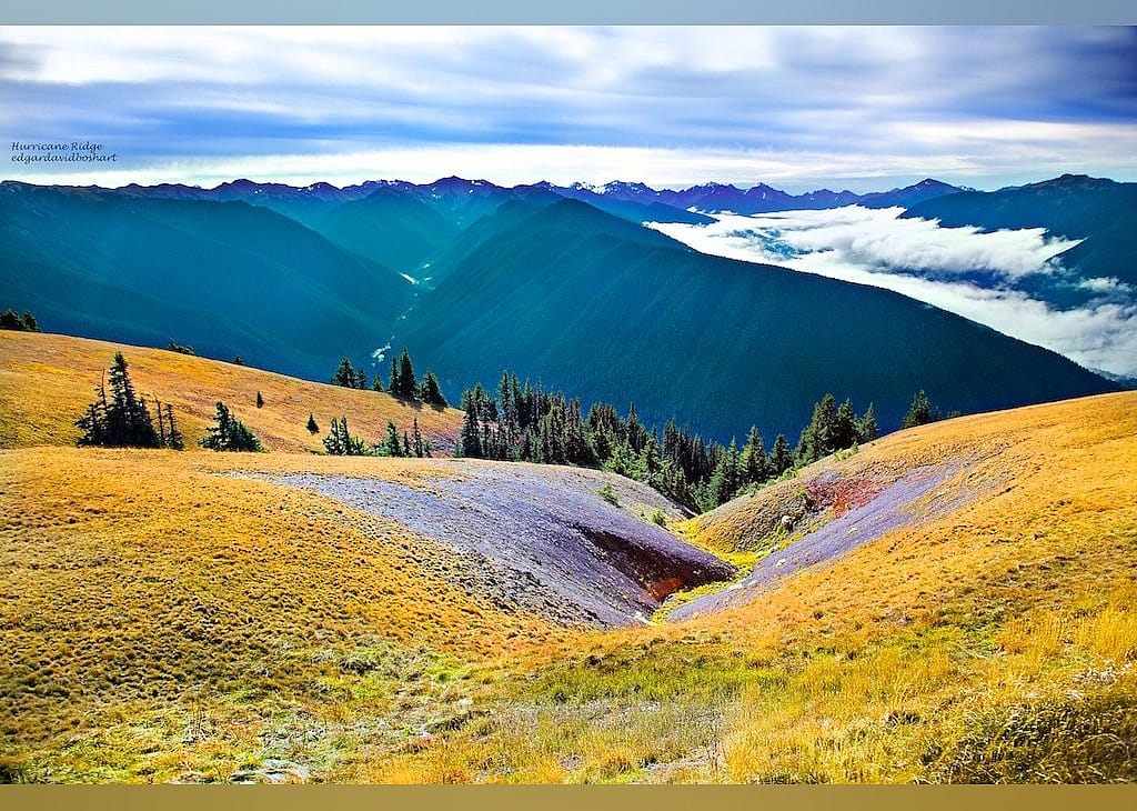 #12. Hurricane Ridge