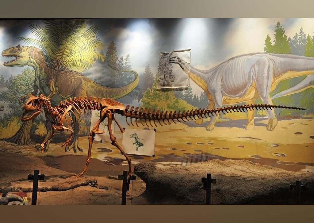 #12. Utah Field House Of Natural History State Park Museum