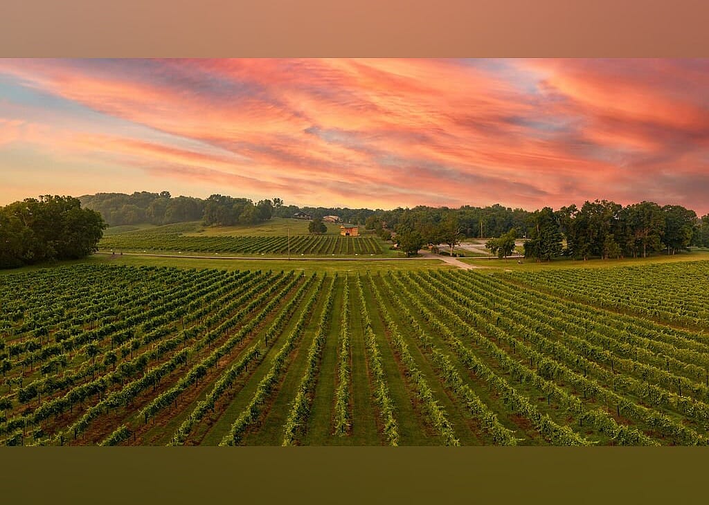 #1. Arrington Vineyards