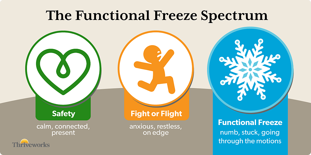 Infographic showing the functional freeze spectrum.