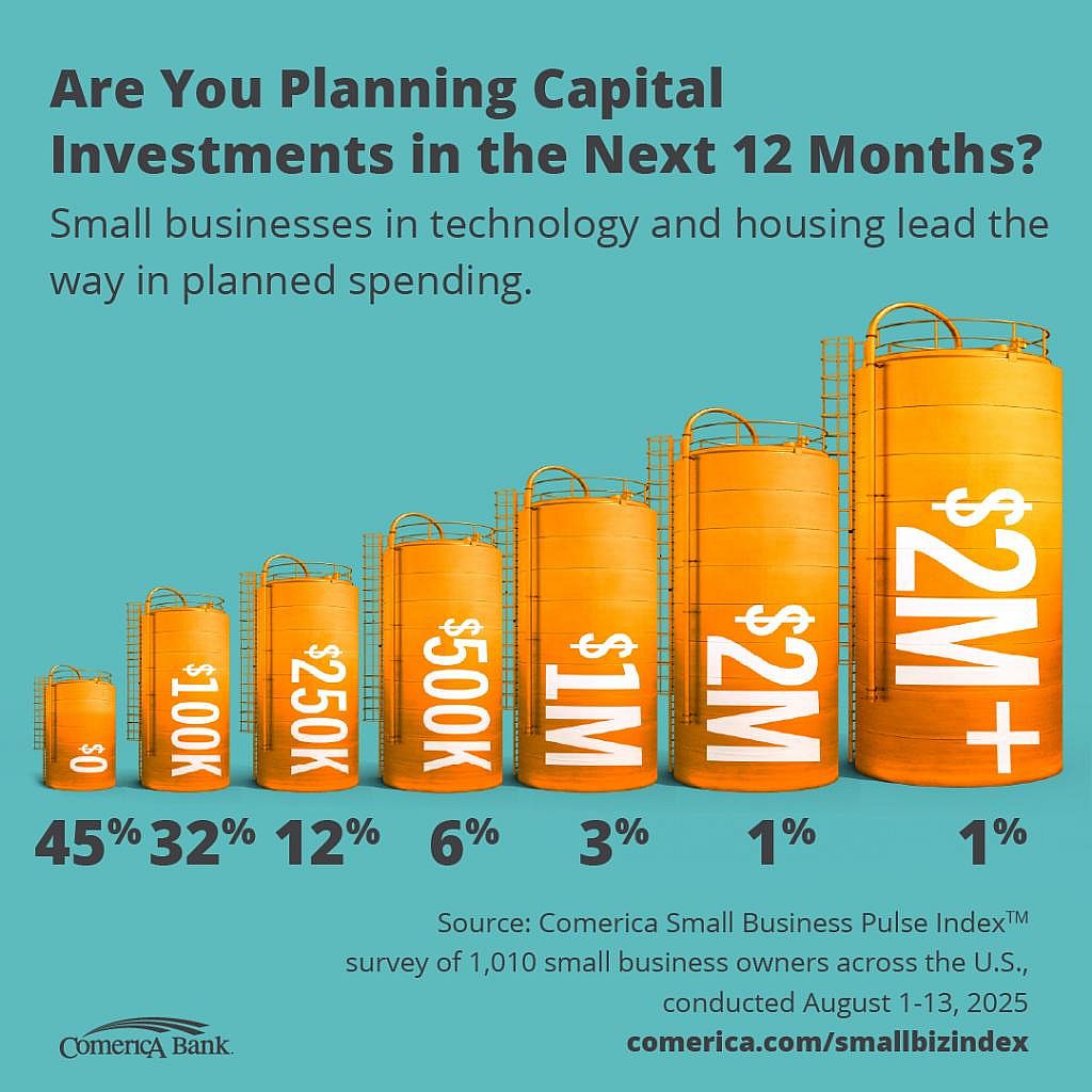 Infographic showing the percentage of small businesses planning capital investments in the next 12 months.