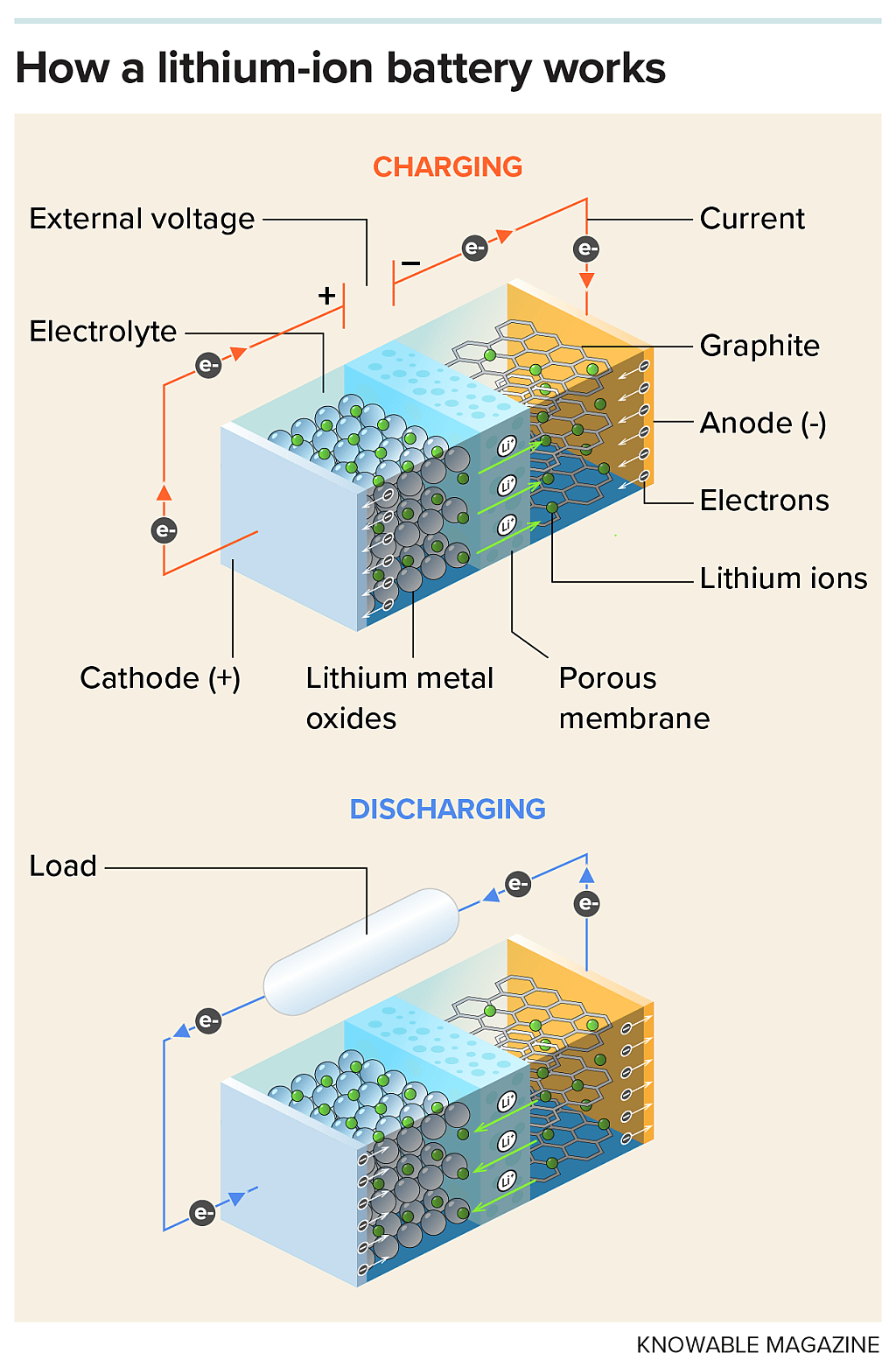 Charging a standard lithium-ion battery (top) works by applying a voltage between cathode and anode. This pulls lithium atoms from the cathode and strips off an electron from each. The now positively charged lithium ions then flow across the membrane to the negatively charged anode. There, the ions reunite with the electrons, which flowed through an external circuit as an electric current. These now neutral atoms nest in the graphite lattice until needed again. The battery’s discharge cycle (bottom) is just