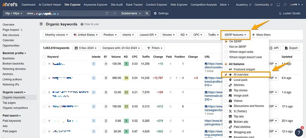 A screenshot of an AI Overview being visible on Ahrefs.