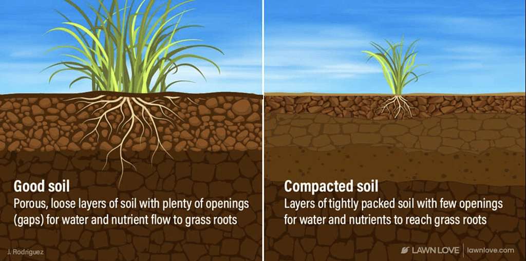 An infographic showing how good soil vs. compacted soil retain moisture.